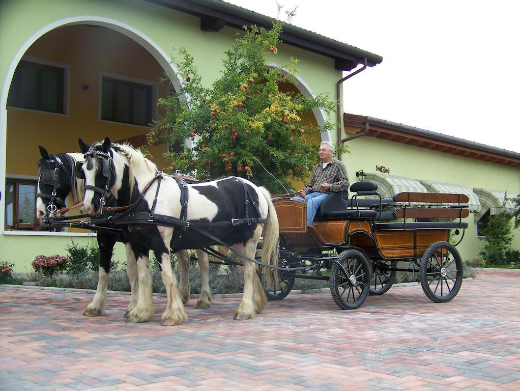 Agriturismo Nonna Rina San Liberale Eksteriør bilde