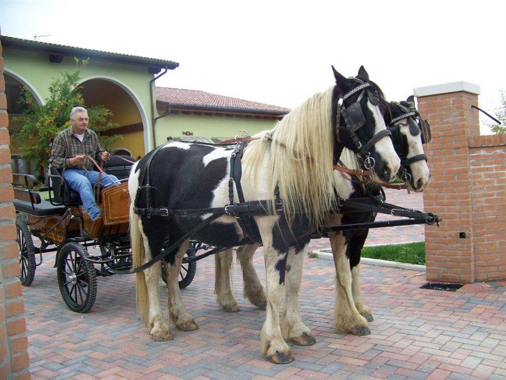 Agriturismo Nonna Rina San Liberale Eksteriør bilde