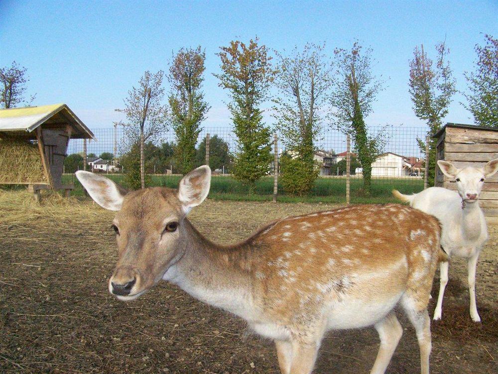 Agriturismo Nonna Rina San Liberale Eksteriør bilde