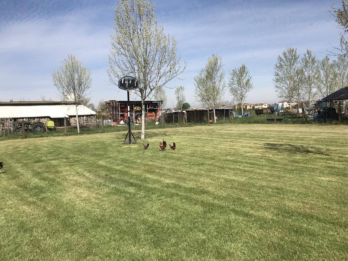 Agriturismo Nonna Rina San Liberale Eksteriør bilde