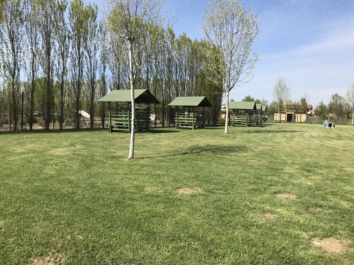 Agriturismo Nonna Rina San Liberale Eksteriør bilde