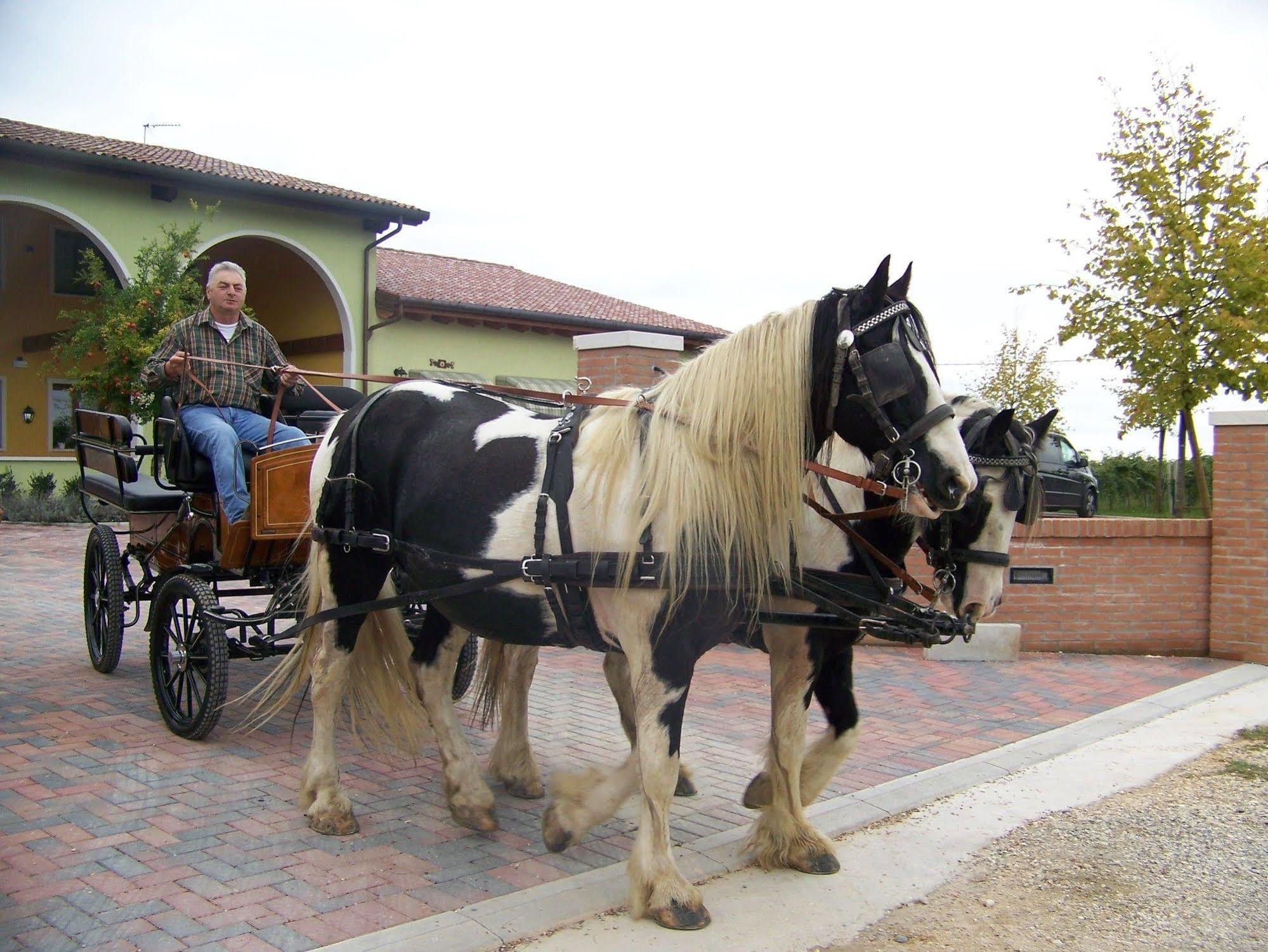 Agriturismo Nonna Rina San Liberale Eksteriør bilde